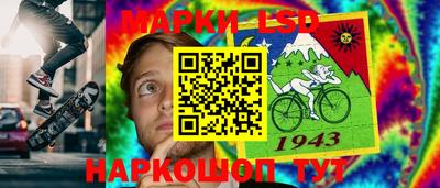 СК Рыбинск