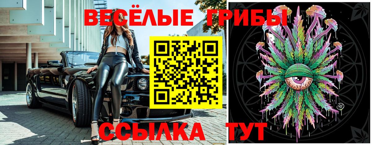 Галлюциногенные грибы GOLDEN TEACHER  как найти закладки  Подольск  Вход с VPN  Галлюциногенные грибы Magic Shrooms 